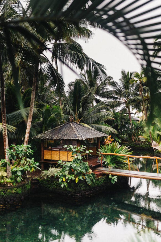 Daring Looks Celebrities Wore to Paris Fashion Week this Year